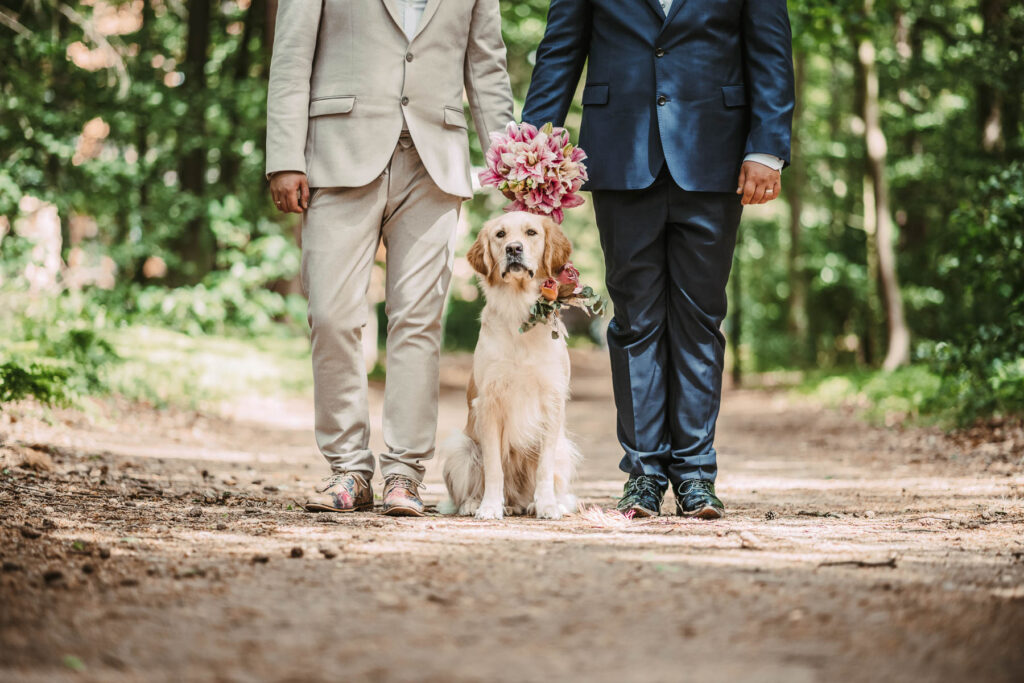 Hochzeit mit Hund - Gleichgeschlechtliche Trauung Gelbensande - Hochzeitsfotografin MV