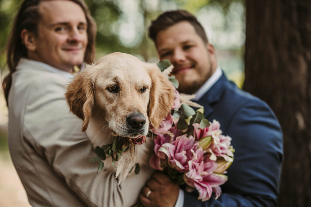 Hochzeit mit Hund - Gleichgeschlechtliche Trauung Gelbensande - Hochzeitsfotografin MV