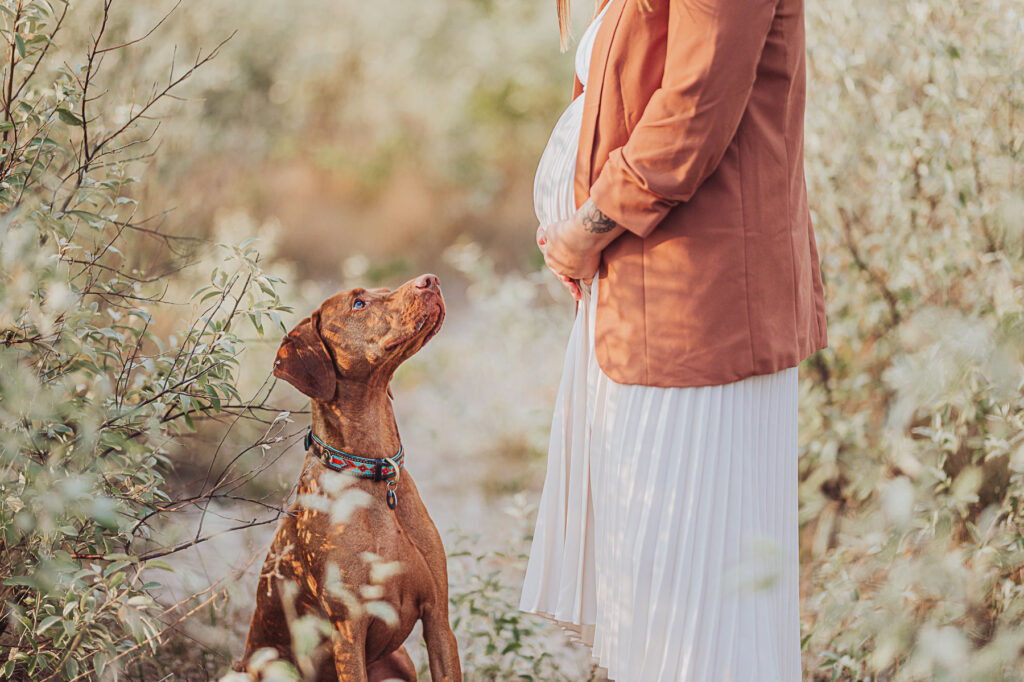 Fotograf Babybauch Shooting mit Hund an der Ostsee Markgrafenheide