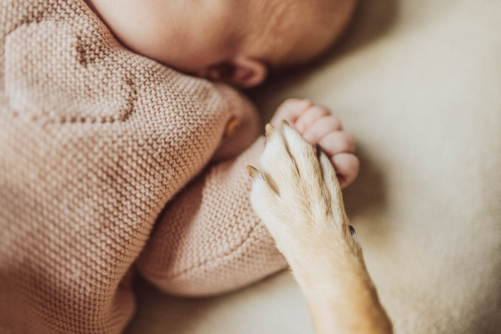 Fotoshooting Neugeborenes - Baby mit Hund