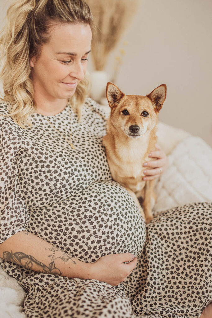 Fotostudio - Fotoshooting Hund & Babybauch
