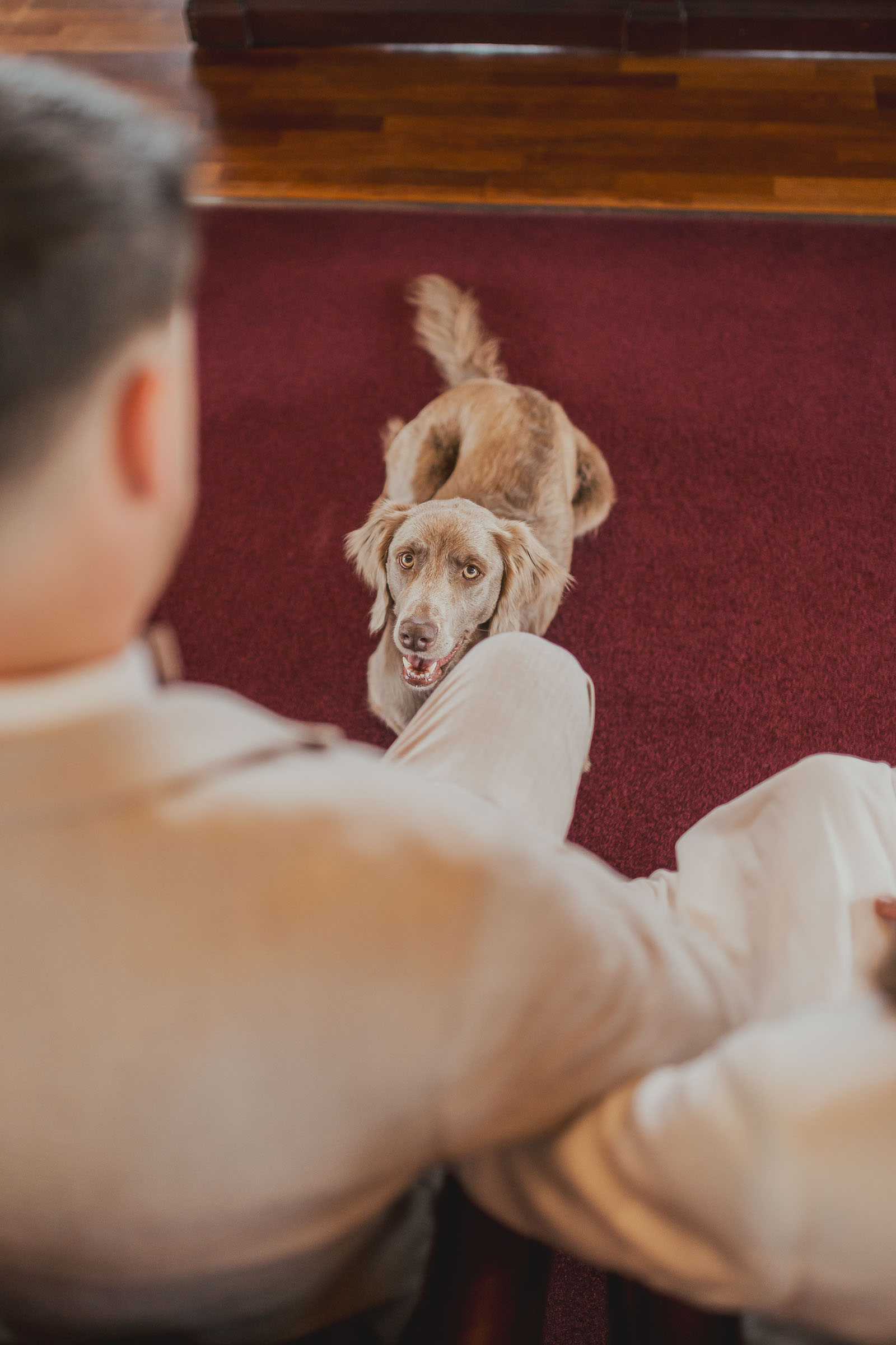 Hochzeit mit Hund auf der Seebrücke Sellin, Insel Rügen