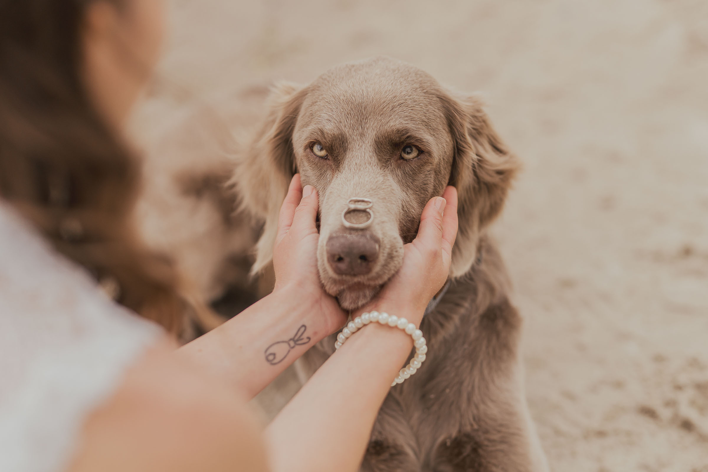 Hochzeitsfotograf & Hundefotograf für die Insel Rügen