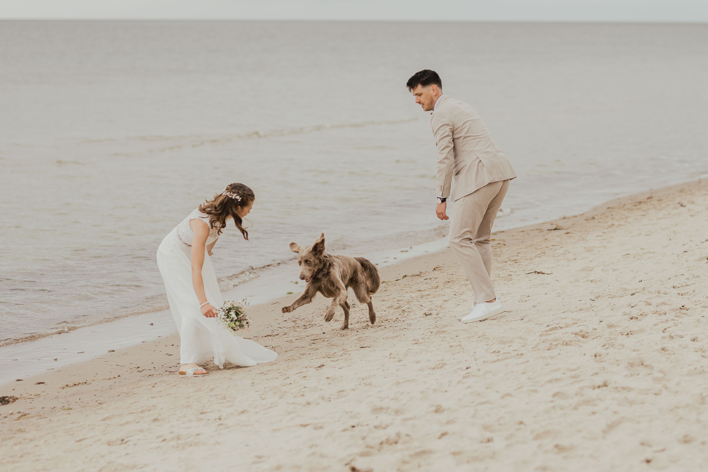 Hochzeitsfotograf & Hundefotograf für die Insel Rügen