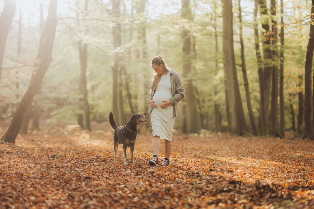 babybauch shooting im Wald Torfbrücke