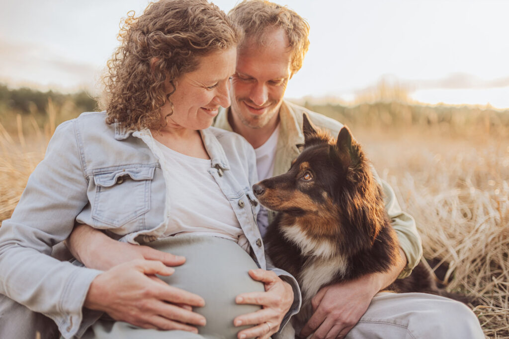 schwangerschaftsshooting mit hund